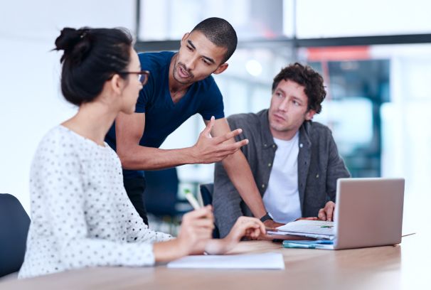 Risk mitigation consulting