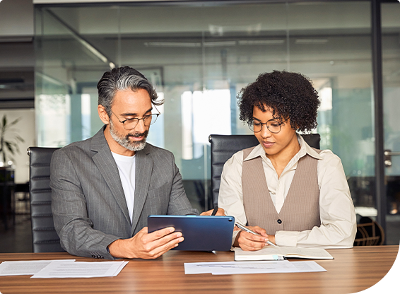 Risk mitigation consulting